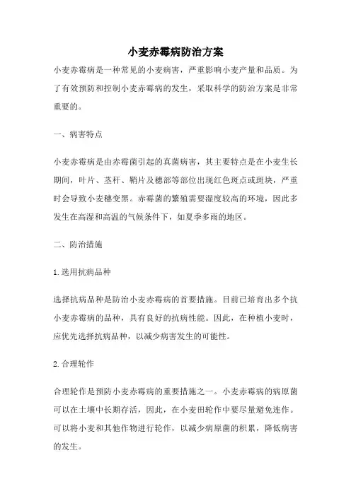 小麦赤霉病防治方案