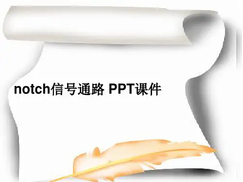 notch信号通路 PPT课件