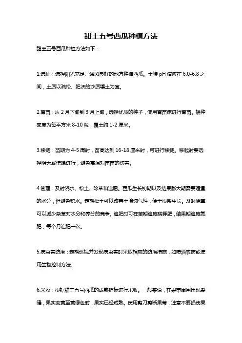 甜王五号西瓜种植方法