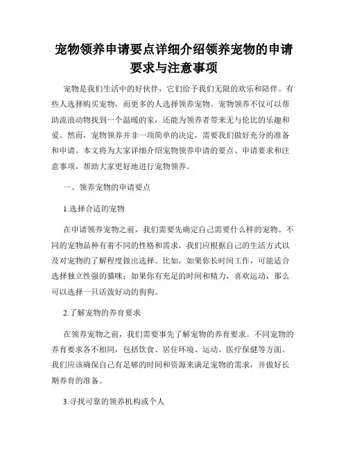 宠物领养申请要点详细介绍领养宠物的申请要求与注意事项