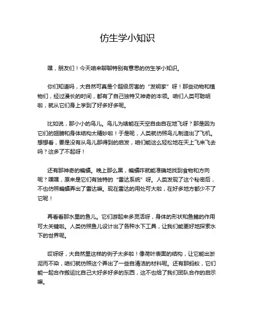 仿生学小知识