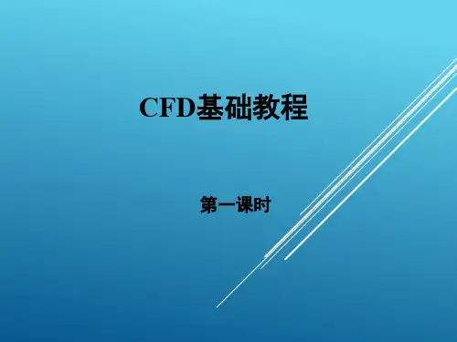 第1课时 CFD基础教程