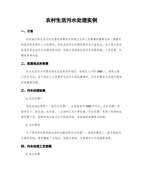 农村生活污水处理实例