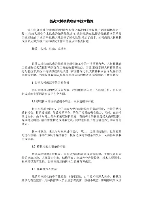 提高大树移栽成活率技术措施