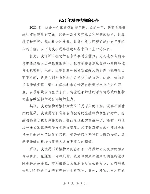 2023年观察植物的心得