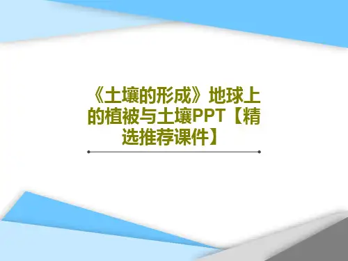 《土壤的形成》地球上的植被与土壤PPT【精选推荐课件】共28页文档