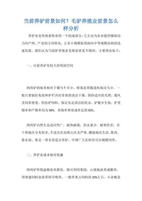 当前养驴前景如何？毛驴养殖业前景怎么样分析
