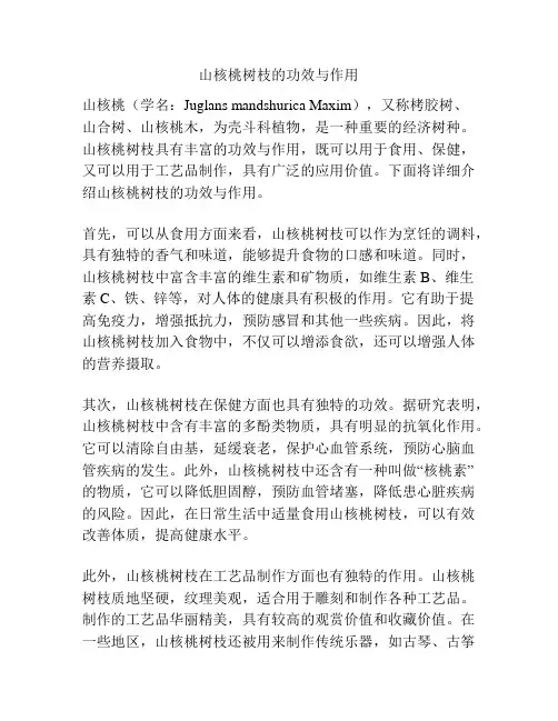 山核桃树枝的功效与作用