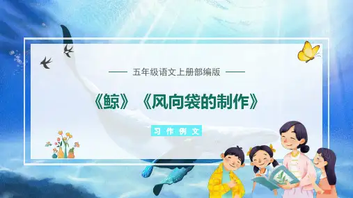最新人教部编版小学五年级上册语文《习作例文《鲸》《风向袋的制作》名师课件