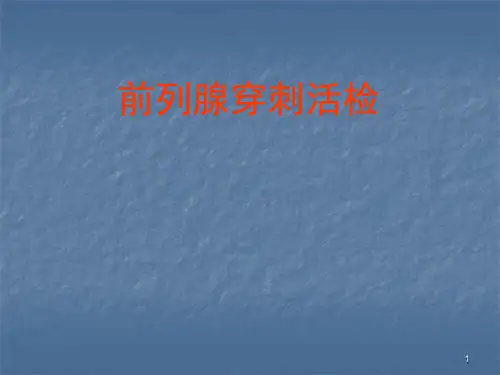 前列腺癌的穿刺活检PPT参考课件