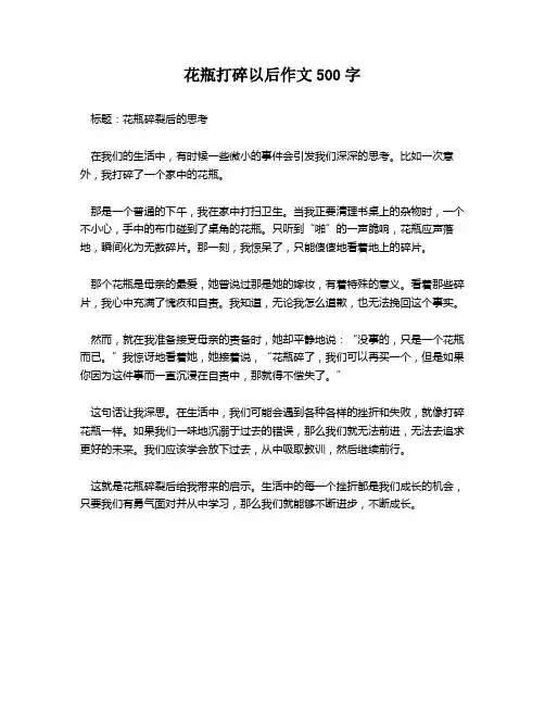 花瓶打碎以后作文500字