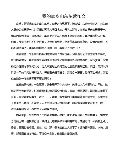 我的家乡山东东营作文