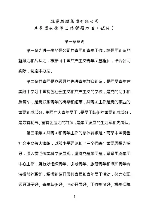 投资控股集团有限公司共青团和青年工作管理办法(试行)