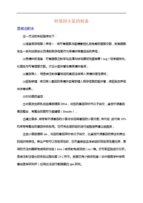 转基因小鼠的制备