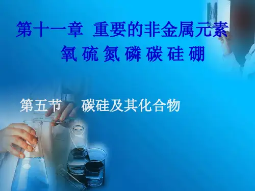 第十一章 重要的非金属元素 氧硫氮磷碳硅硼