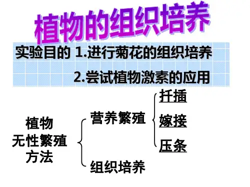 实验7植物的组织培养(浙科版选修1)xuesheng