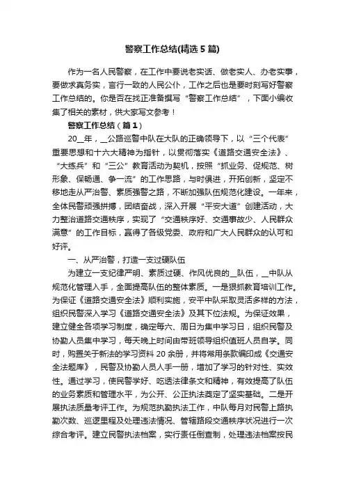 警察工作总结（精选5篇）