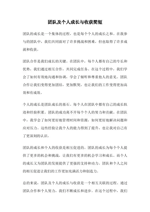 团队及个人成长与收获简短