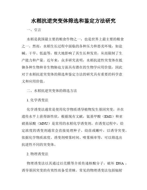 水稻抗逆突变体筛选和鉴定方法研究