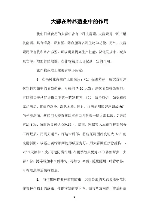 大蒜在种养殖业中的作用