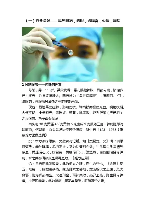 （一）白头翁汤——风热眼病，赤眼，结膜炎，心悸，痢疾