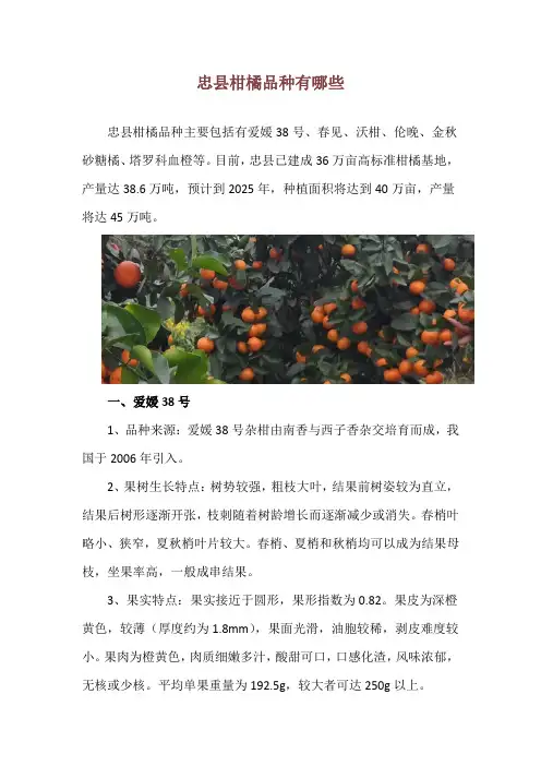 忠县柑橘品种有哪些