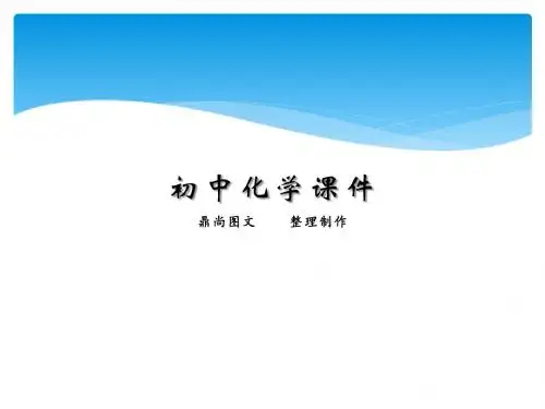 人教版九年级化学上册与衣着.pptx