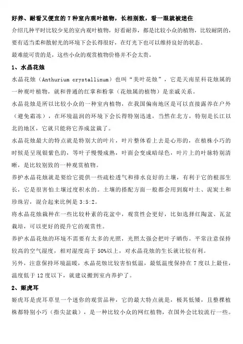 好养、耐看又便宜的7种室内观叶植物,长相别致,看一眼就被迷住