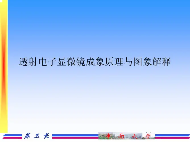 电镜图象解释