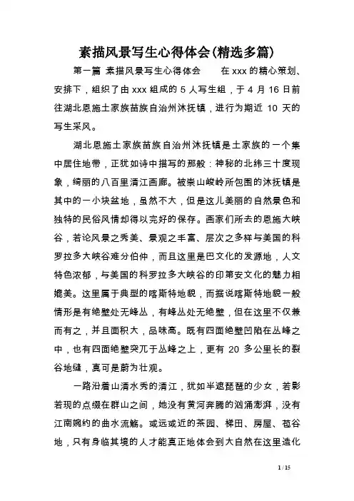 素描风景写生心得体会（精选多篇）范文