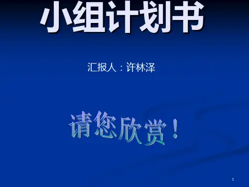 小组工作计划书PPT课件