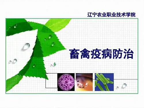 项目一 动物疫病的传染和流行过程
