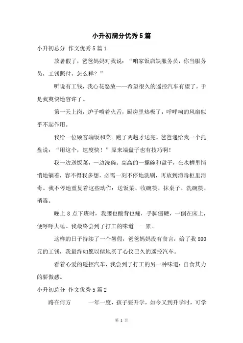 小升初满分优秀5篇