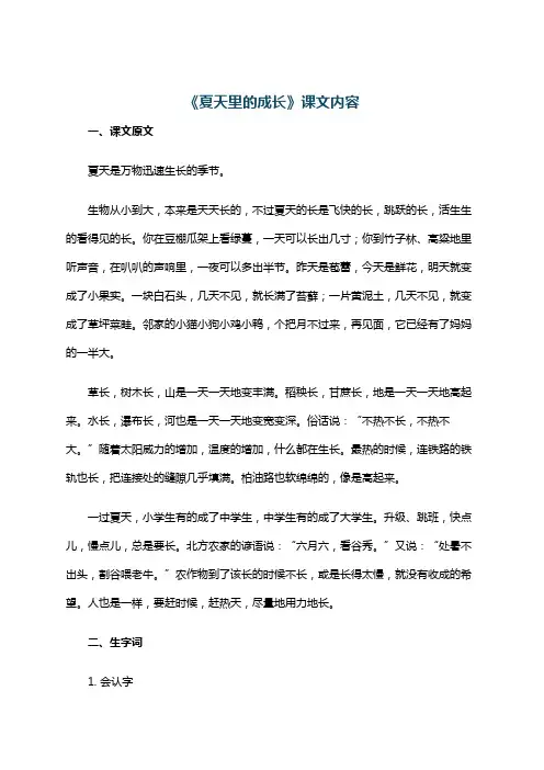 《夏天里的成长》课文内容