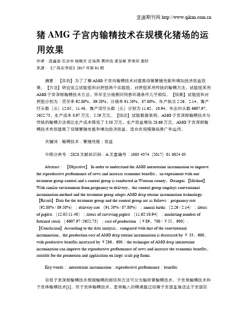 猪AMG子宫内输精技术在规模化猪场的运用效果