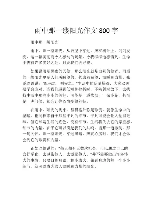 雨中那一缕阳光作文800字