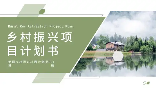 绿色乡村振兴项目计划书PPT通用模板