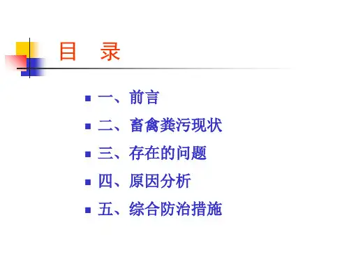 当前畜禽粪污现状及综合防治措施111PPT资料22页