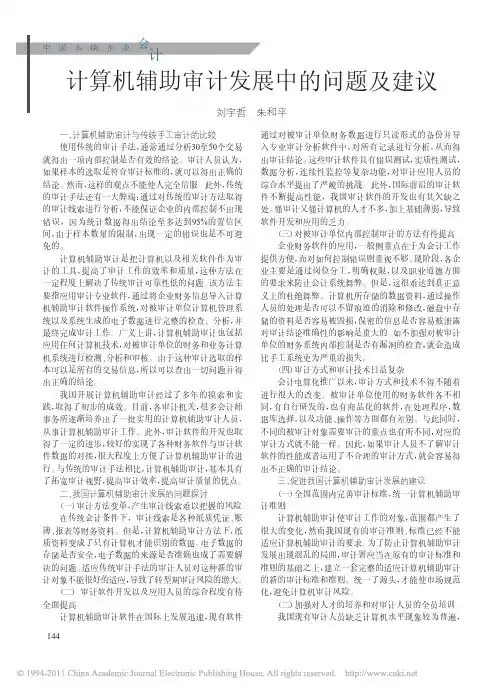 计算机辅助审计发展中的问题及建议