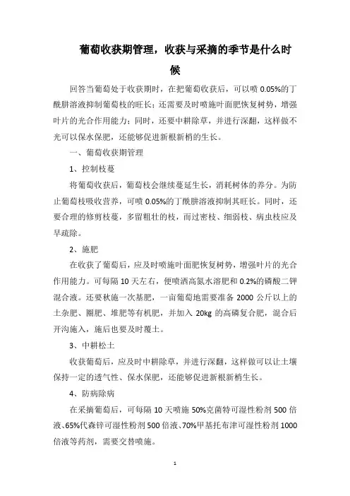 葡萄收获期管理,收获与采摘的季节是什么时候