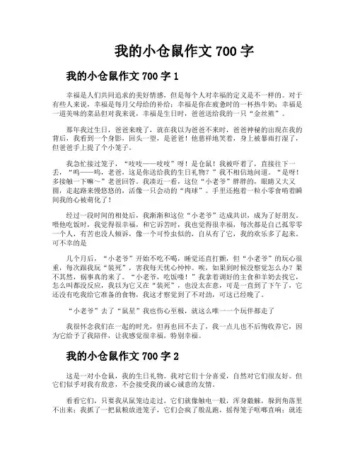 我的小仓鼠作文700字