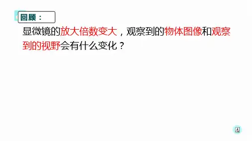 1.4观察洋葱表皮细胞