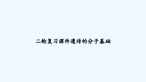 二轮复习课件遗传的分子基础 PPT