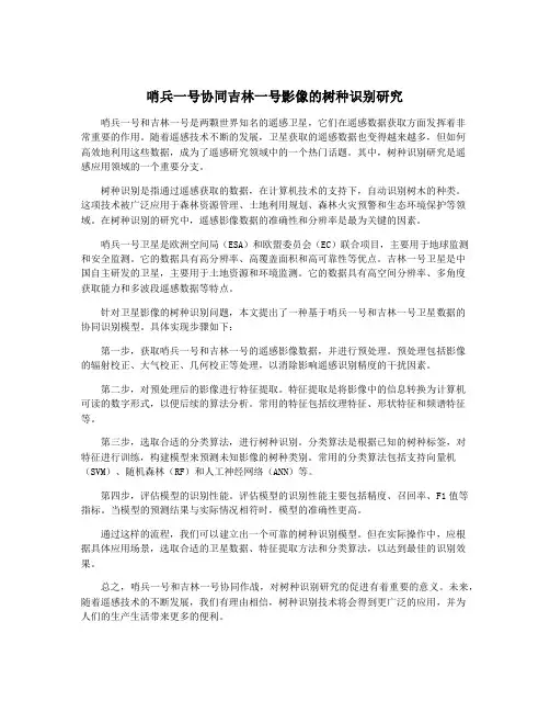 哨兵一号协同吉林一号影像的树种识别研究