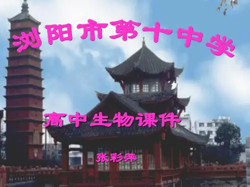 动物的新陈代谢
