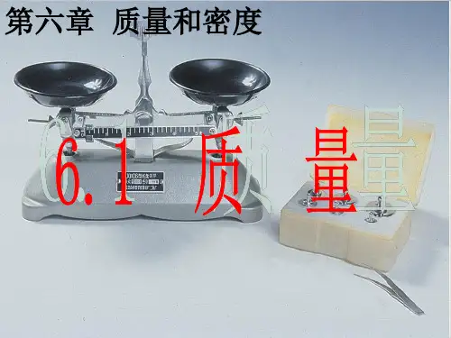 6.1质量-人教版物理八年级上册_1PPT优秀课件