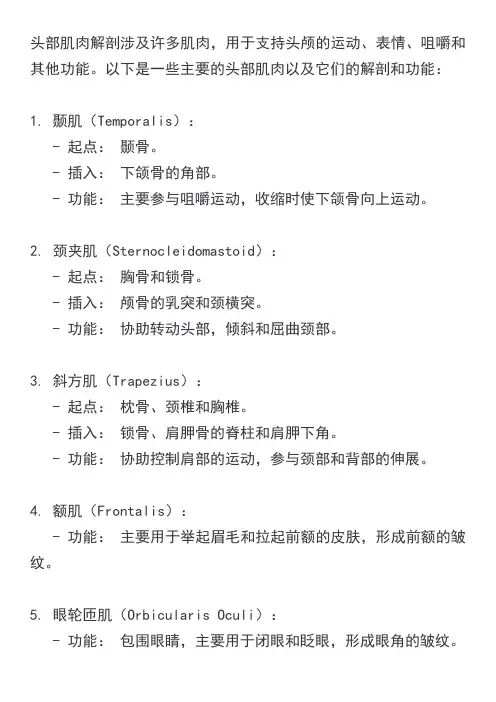 项部肌肉解剖