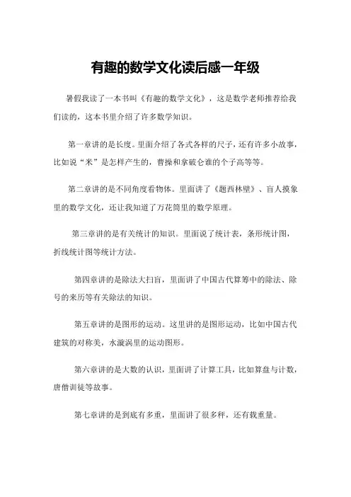 有趣的数学文化读后感一年级