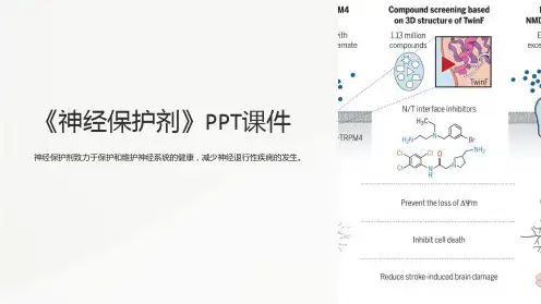 《神经保护剂》课件
