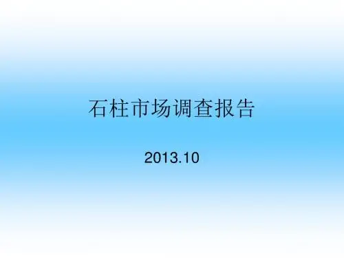 石柱项目市调报告